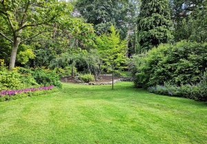 Optimiser l'expérience du jardin à Stiring-Wendel